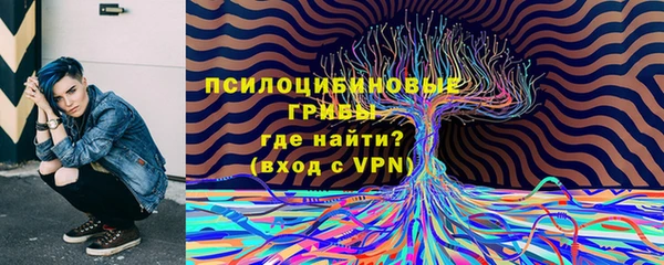 прущие крисы Ладушкин