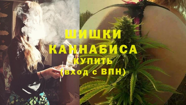 мет Лагань